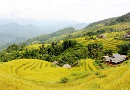 Đi du lịch Hà Giang mùa lúa chín