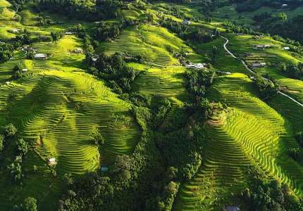 Thăm bản Ý Linh Hồ mùa lúa chín