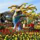 Lễ hội hoa Tulip Everland Hàn Quốc