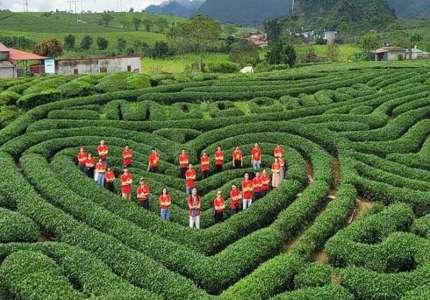 Đi du lịch ở mộc châu có gì chơi