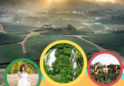 Trọn bộ kinh nghiệm du lịch Mộc Châu