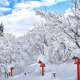 Hokkaido điểm săn tuyết đẹp nhất mùa đông ở Nhật Bản