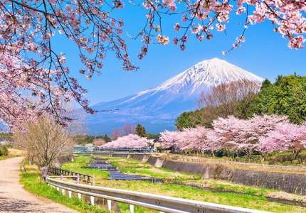 Lịch ngắm hoa anh đào Nhật Bản