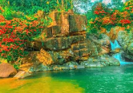 Tham quan Suối Kà Te Bình Định