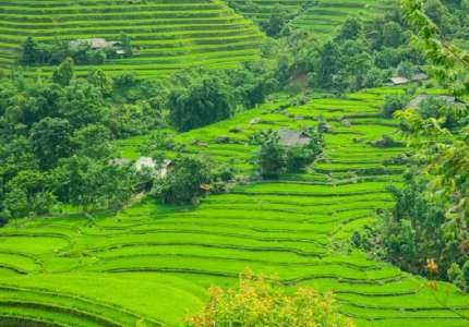 Đi du lịch Sapa tháng 7 có gì đẹp