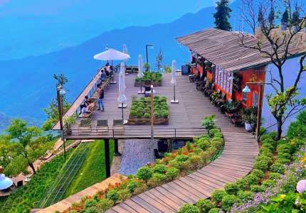 Tiệm cà phê nhiệt đới Tam Đảo
