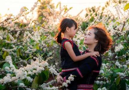 Mùa hoa cà phê Tây Nguyên