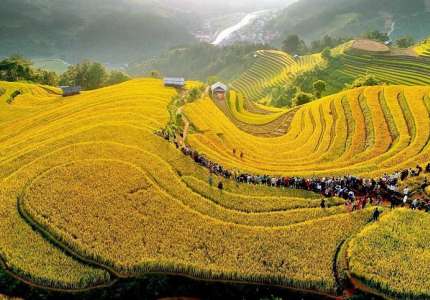 Ruộng bậc thang Mù Cang Chải mùa lúa chín