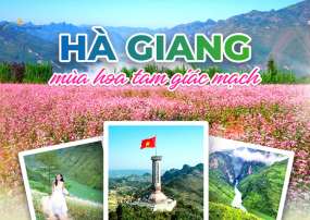 Du Lịch Hà Giang Mùa Hoa Tam Giác Mạch 3 Ngày 2 Đêm