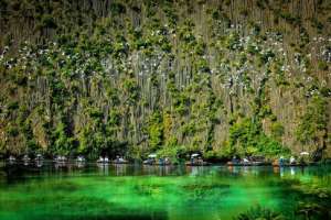 Tour Du Lịch Làng Hương - Khu Ngập Nước Vân Long- Đạp Xe Ninh Bình 1 Ngày