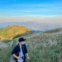 Tour Du Lịch Bình Liêu 2 Ngày 1 Đêm Mùa Hoa Cỏ Lau