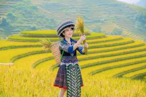 Tour Du Lịch Mù Cang Chải - Trạm Tấu - Tà Xùa 3 Ngày 2 Đêm Mùa Lúa Chín