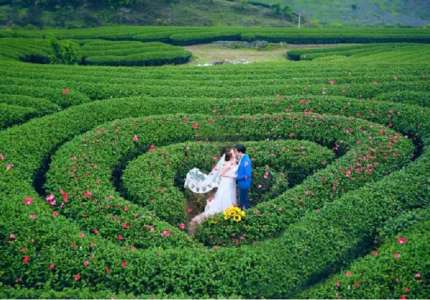 Top 10 diểm du lịch Mộc Châu
