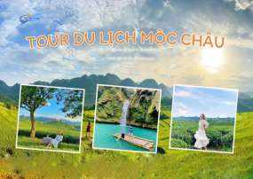 Tour Du Lịch Mộc Châu 2 Ngày 1 Đêm Từ Hà Nội