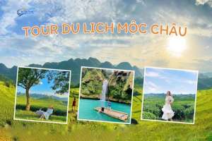 Tour Du Lịch Mộc Châu 2 Ngày 1 Đêm Từ Hà Nội